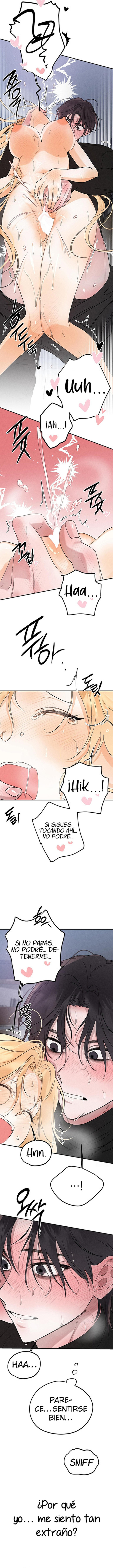 Imagen del capítulo 15